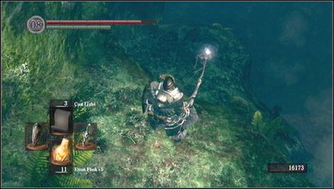 After collecting these items, jump one more level down and run forwards - Darkroot Basin - Walkthrough - Dark Souls - Game Guide and Walkthrough