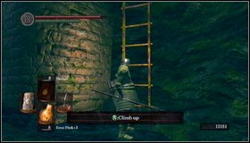 After killing Hydra, you can go to further part of Darkroot Garden - Darkroot Basin - Darkroot Garden II - Walkthrough - Dark Souls - Game Guide and Walkthrough