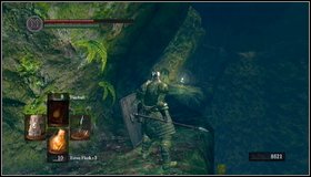 During climbing you can collect a soul - Darkroot Basin - Darkroot Garden II - Walkthrough - Dark Souls - Game Guide and Walkthrough