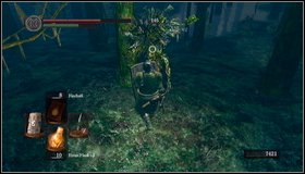 But first check what is in the previous part of the location - another forest area - Darkroot Garden II - Walkthrough - Dark Souls - Game Guide and Walkthrough