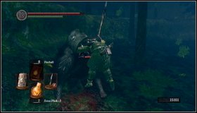 During the fight with cats, try to focus at one of them at the time - Darkroot Garden II - Walkthrough - Dark Souls - Game Guide and Walkthrough