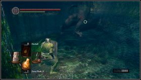 1 - Darkroot Garden II - Walkthrough - Dark Souls - Game Guide and Walkthrough