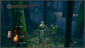 Return behind the cats' lair - Darkroot Garden II - Walkthrough - Dark Souls - Game Guide and Walkthrough