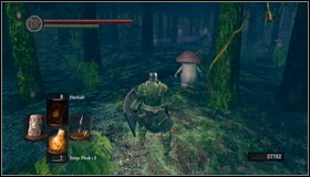 4 - Darkroot Garden II - Walkthrough - Dark Souls - Game Guide and Walkthrough