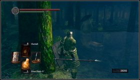 5 - Darkroot Garden II - Walkthrough - Dark Souls - Game Guide and Walkthrough