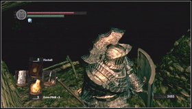 In catacombs you'll meet next skeletons - hit them with Divine weapon - and skulls - The Catacombs - p. 1 - Walkthrough - Dark Souls - Game Guide and Walkthrough