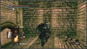 It is worth to return to the earlier fragment in order to get rid of necromancers and obtain additional items - The Catacombs - p. 3 - Walkthrough - Dark Souls - Game Guide and Walkthrough