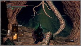 Before the fight, youll see a path to the right - you can pick up an item there - Demon Ruins - p. 2 - Walkthrough - Dark Souls - Game Guide and Walkthrough