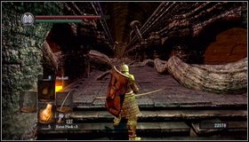 From this part of the location you can go to the long bridge through one of the side buildings - Lost Izalith - p. 2 - Walkthrough - Dark Souls - Game Guide and Walkthrough