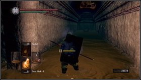 If you go behind an opposite hole in the ground, youll get to the long corridor - Lost Izalith - p. 2 - Walkthrough - Dark Souls - Game Guide and Walkthrough