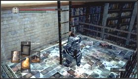 After killing closest octopuses, you can go up and climb the ladder - The Duke's Archives - Prison - Walkthrough - Dark Souls - Game Guide and Walkthrough