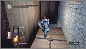 Another cell below is closed - The Duke's Archives - Prison - Walkthrough - Dark Souls - Game Guide and Walkthrough