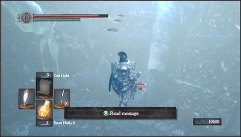 Same here, watch out for a slight left turn at the end - Crystal Cave - Walkthrough - Dark Souls - Game Guide and Walkthrough