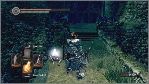 After collecting item, you can go the path to the left - Bonus - Valley of Drakes - Walkthrough - Dark Souls - Game Guide and Walkthrough