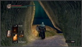 If you do not want to fight with tough mushrooms, bypass them by running to the side corridor - Bonus - The Great Hollow - Walkthrough - Dark Souls - Game Guide and Walkthrough