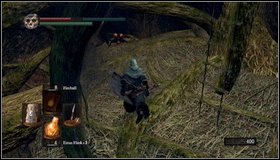 7 - Bonus - The Great Hollow - Walkthrough - Dark Souls - Game Guide and Walkthrough