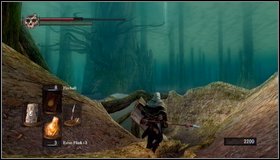 1 - Bonus - Ash Lake - Walkthrough - Dark Souls - Game Guide and Walkthrough