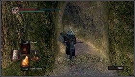 8 - Bonus - The Great Hollow - Walkthrough - Dark Souls - Game Guide and Walkthrough