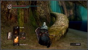 4 - Bonus - Ash Lake - Walkthrough - Dark Souls - Game Guide and Walkthrough