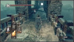 5 - Bonus - Painted World of Ariamis - p. 3 - Walkthrough - Dark Souls - Game Guide and Walkthrough