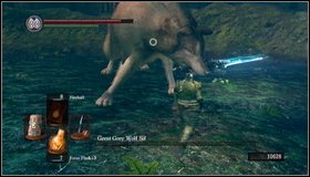 In the later part of the fight, the wolf will be wounded [1] and his moves will become extremely slow - Great Grey Wolf Sif - How to kill a boss - Dark Souls - Game Guide and Walkthrough