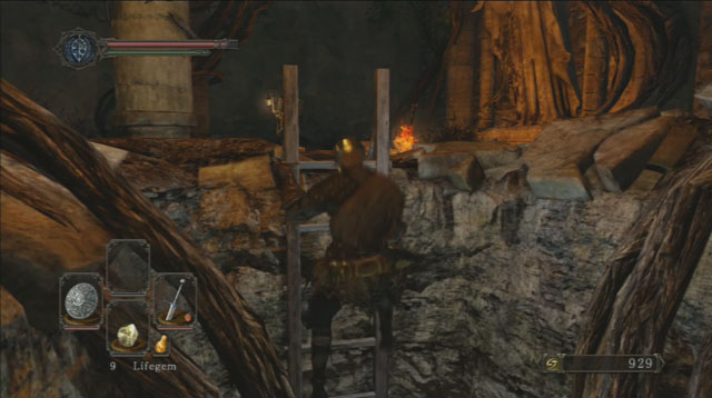 Climb down the ladder - Forest Of The Fallen Giants (II) - Walkthrough - Dark Souls II - Game Guide and Walkthrough