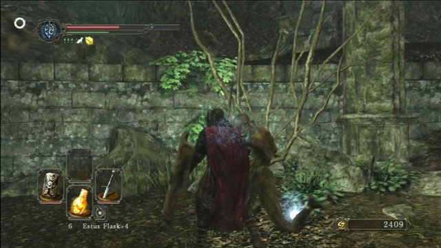 Defeat the opponents - Shaded Woods - Walkthrough - Dark Souls II - Game Guide and Walkthrough