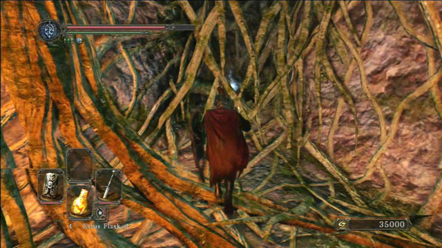 Destroy the vines - Shrine Of Amana - Walkthrough - Dark Souls II - Game Guide and Walkthrough
