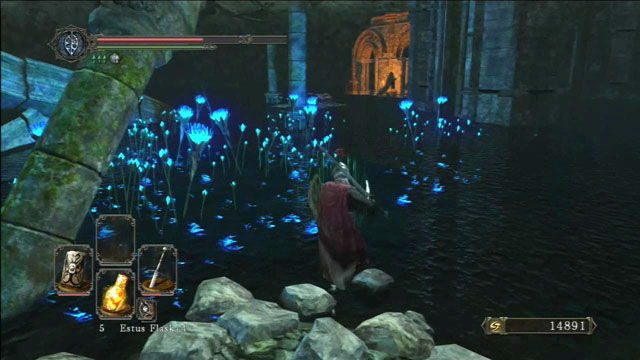 Run along the path - Shrine Of Amana - Walkthrough - Dark Souls II - Game Guide and Walkthrough