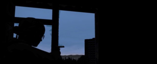 player window during night - 2. Dangerous World - DayZ - Game Guide and Walkthrough