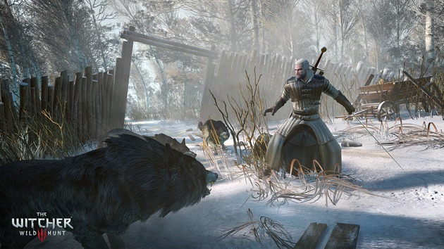 The Witcher 3 Wild Hunt PS4 PlayStation 4 Combat Tips