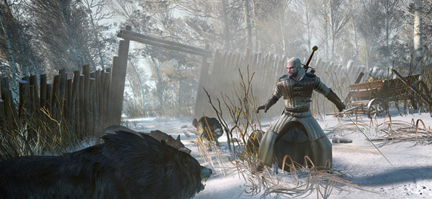 The Witcher 3 Wild Hunt PS4 PlayStation 4 Walkthrough