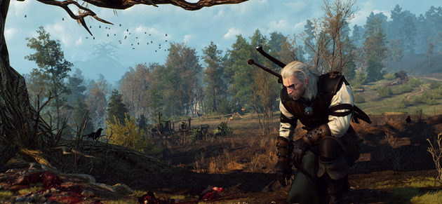 The Witcher 3 Wild Hunt PS4 PlayStation 4 Help