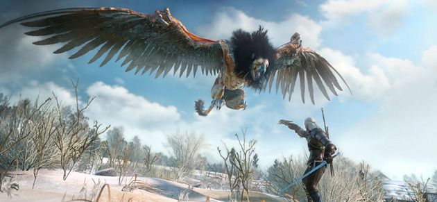 The Witcher 3 Wild Hunt PS4 PlayStation 4 Beginner's Guide