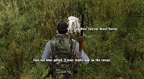After you hunt down an animal, the Gut animal option will appear on its corpse - Hunger - Status effects - DayZ - Game Guide and Walkthrough