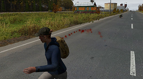 Blood works as your character's life - Bleeding - Status effects - DayZ - Game Guide and Walkthrough