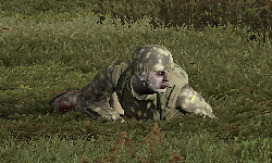 ZED CRAWLER - Zed types - Zombies from A to Zed - DayZ - Game Guide and Walkthrough