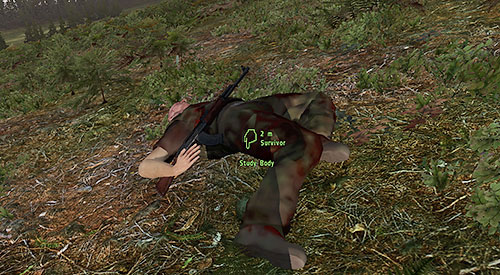 The corpses of other players are accompanied by a very distinguish sound of swarm of flies - First contact - PVP, interacting with other players - DayZ - Game Guide and Walkthrough
