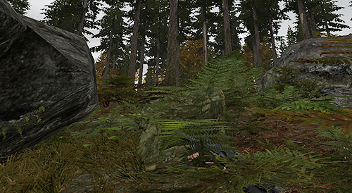 The Ghillie Suit is the best choice for snipers who usually keep away from cities and people and like to disappear from enemy's sight by jumping into bushes or tall grass - Camouflage - PVP, interacting with other players - DayZ - Game Guide and Walkthrough