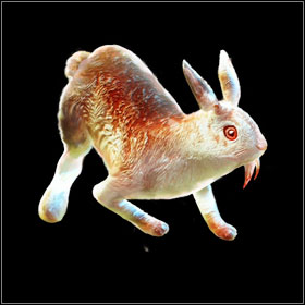 Killer Rabbit - World Atlas - Bestiary - Part 1 - World Atlas - Bestiary - Divinity II: Ego Draconis - Game Guide and Walkthrough