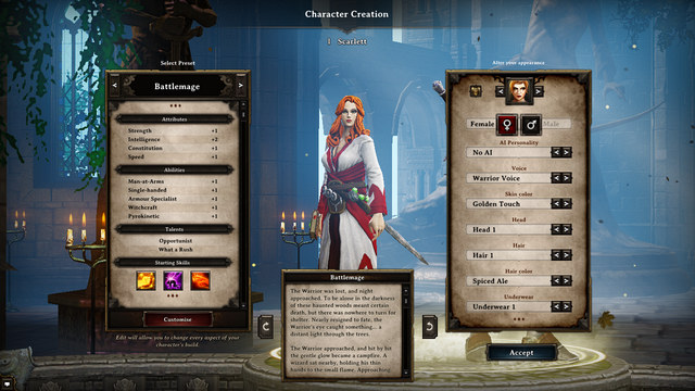 Selecting of base categories - How to develop the character - Team - Divinity: Original Sin - Game Guide and Walkthrough