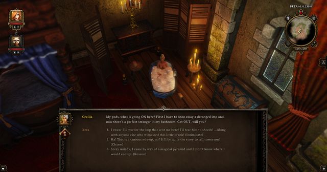 After using the teleporting pyramid, you will be moved to a bathroom, in which a woman takes a bath. - Hiberheim - Secrets and digging out treasures - Divinity: Original Sin - Game Guide and Walkthrough
