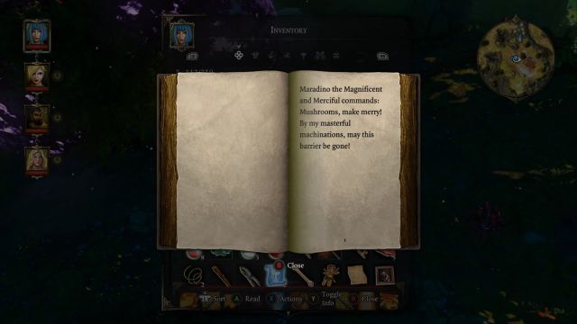 You must read the spell for the barrier to disappear - Find the Witch - Luculla Forest / Hiberheim - Main quests - Divinity: Original Sin - Game Guide and Walkthrough