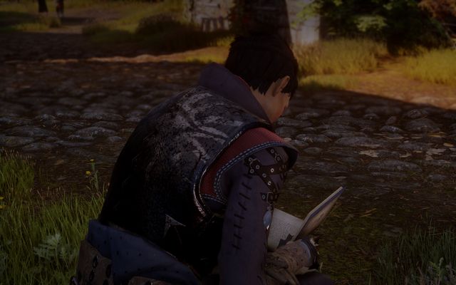 Cassandra loves Varrics books. - Guilty Pleasures - The Inner Circle (companion quests) - Dragon Age: Inquisition - Game Guide and Walkthrough