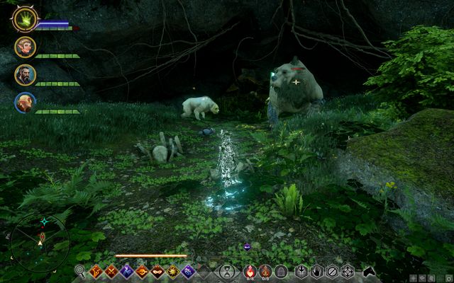 The dangerous bears - Watch Out for the Bear - Side Quests - Emerald Graves - Dragon Age: Inquisition - Game Guide and Walkthrough