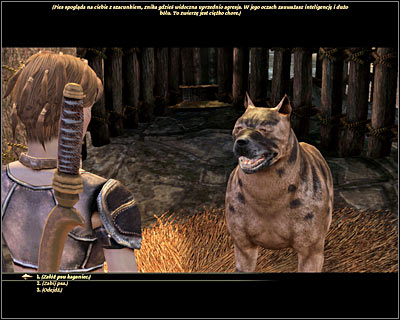 Description: In order to unlock this version of the quest you can't have mabari with you after your arrival to Ostagar, so basically you can't be playing as a human noble - Ostagar - The mabari hound - Ostagar - Dragon Age: Origins - Game Guide and Walkthrough