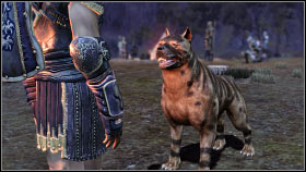 MABARI HOUND (animal, dog) - World Atlas - Followers - List of companions - World Atlas - Followers - Dragon Age: Origins - Game Guide and Walkthrough