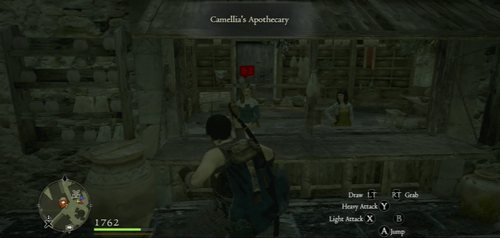 After accepting the quest, go to Camellia's Apothecary at the market - A Troublesome Tome - Act I - Dragons Dogma - Game Guide and Walkthrough