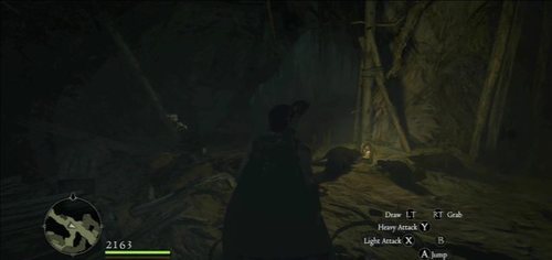 Turn left at the fork and jump down after you reach a larger chamber (with water) - Deep Trouble - Act I - Dragons Dogma - Game Guide and Walkthrough