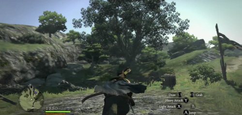 The Sunbright kind can be found during the day just outside the village, near the larger trees (the ones with clearly thicker trunks) - Floral Delivery - Act I - Dragons Dogma - Game Guide and Walkthrough